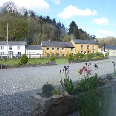Neuadd Wen Guest House Carmarthen Ngoại thất bức ảnh