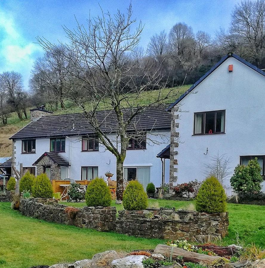 Neuadd Wen Guest House Carmarthen Ngoại thất bức ảnh