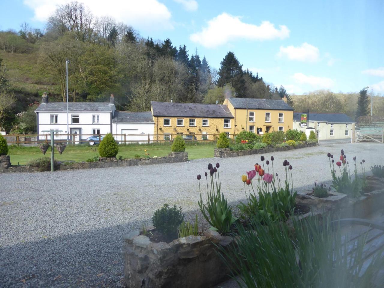 Neuadd Wen Guest House Carmarthen Ngoại thất bức ảnh