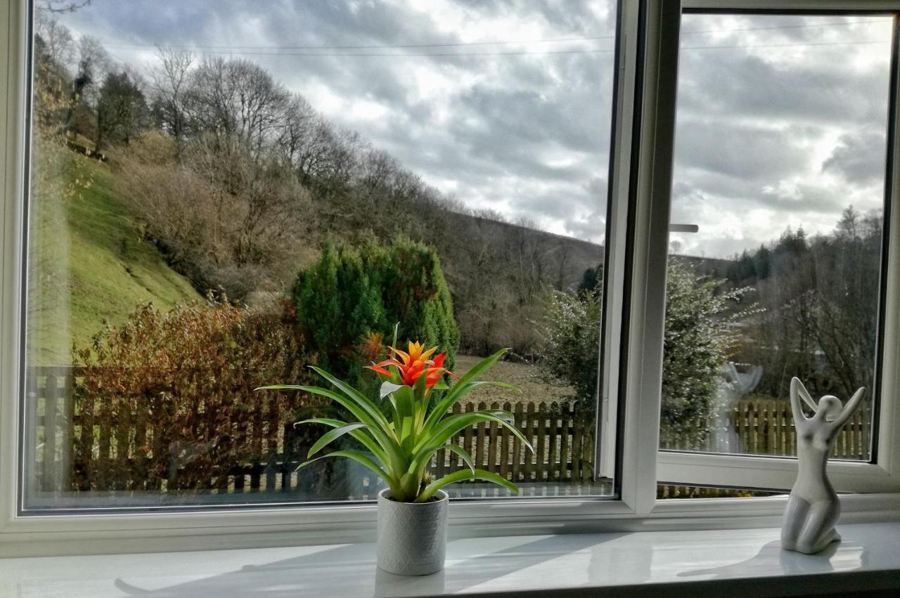 Neuadd Wen Guest House Carmarthen Ngoại thất bức ảnh